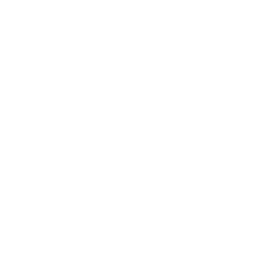 免許証のイラスト